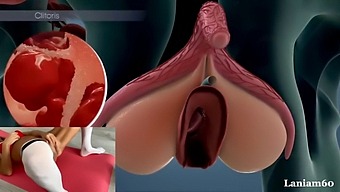 Woman Reaches Orgasm Through Anatomy Exploration