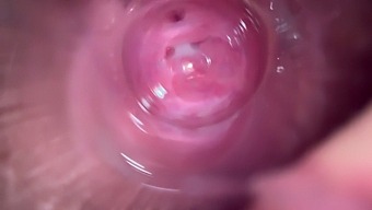 Deep Dive Into A Young Girl'S Intimate Area With High-Quality Footage